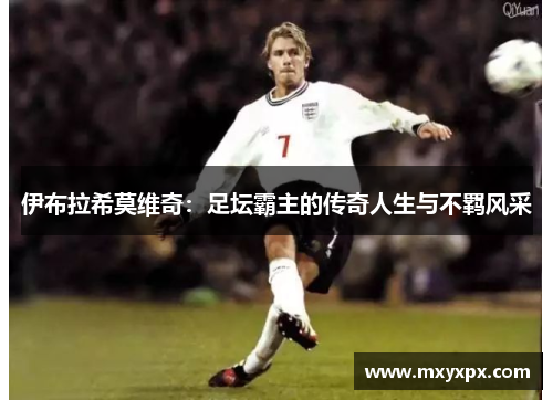 伊布拉希莫维奇：足坛霸主的传奇人生与不羁风采