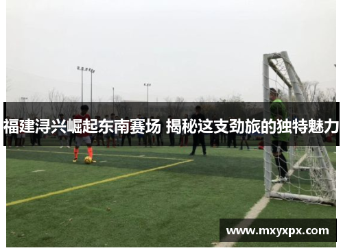 福建浔兴崛起东南赛场 揭秘这支劲旅的独特魅力 福建浔兴崛起东南赛场 揭秘这支劲旅的独特魅力