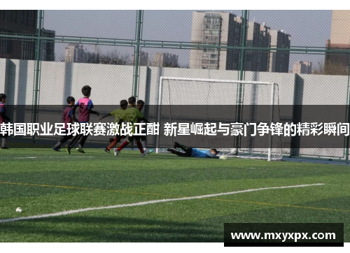 韩国职业足球联赛激战正酣 新星崛起与豪门争锋的精彩瞬间