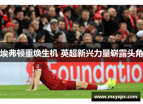 埃弗顿重焕生机 英超新兴力量崭露头角